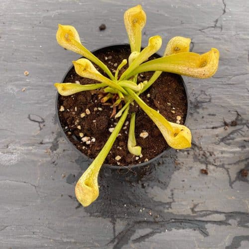 WB0Tk4cui9IXahzmYofg.jpg WB0Tk4cui9IXahzmYofg.jpg