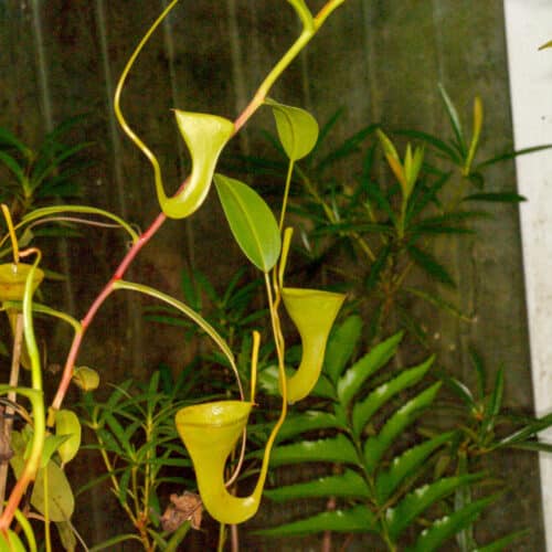 WMXw4RMpIStPOSQl7WFI.jpg WMXw4RMpIStPOSQl7WFI.jpg