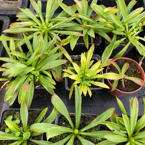 WQMLP0JRbzGHaJ3iNId9.jpg WQMLP0JRbzGHaJ3iNId9.jpg