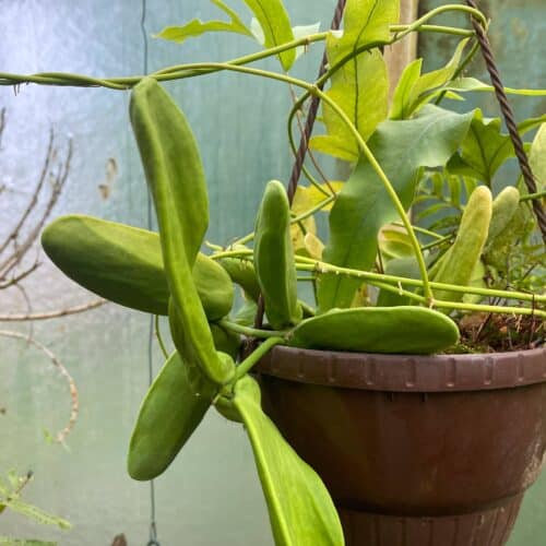 WVw9gdgwStulhXfARqi7.jpg WVw9gdgwStulhXfARqi7.jpg