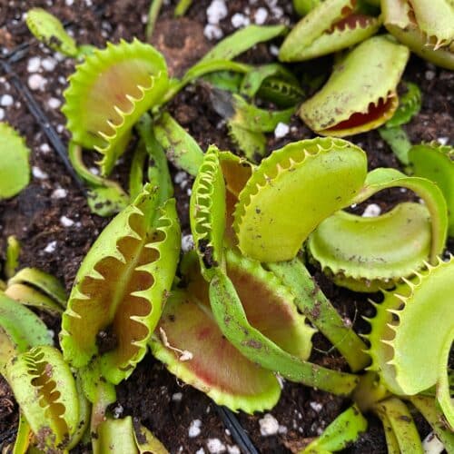 WWk3YNje1c4HaxAfYcqU.jpg WWk3YNje1c4HaxAfYcqU.jpg