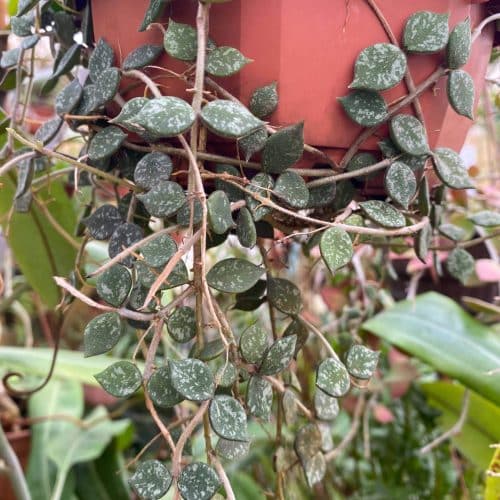 WadTtJzfdojwUtMu1Nku.jpg WadTtJzfdojwUtMu1Nku.jpg