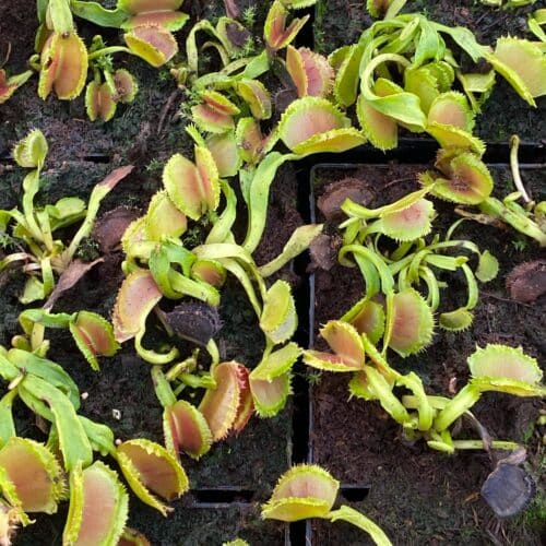 Wks7yo9Wr9cBMsi13OQb.jpg Wks7yo9Wr9cBMsi13OQb.jpg