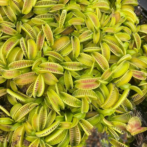 Wqv7vayVL0buHCxZgKzS.jpg Wqv7vayVL0buHCxZgKzS.jpg