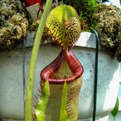 WuxklzuFemrGwHBol4B0.jpg WuxklzuFemrGwHBol4B0.jpg