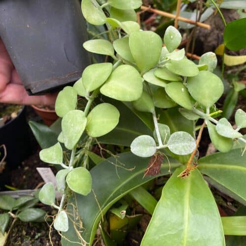 X45DS0o8FB0haeoj8ubm.jpg X45DS0o8FB0haeoj8ubm.jpg