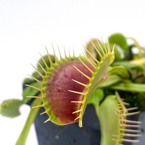 X4oMkZX8O8UUhQGRd1O3-1.jpg X4oMkZX8O8UUhQGRd1O3-1.jpg