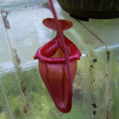 X69lrxYBsn1XVgPPoB6X.jpg X69lrxYBsn1XVgPPoB6X.jpg