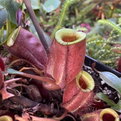 XP4H1hqeyp3jQNalvcJY.jpg XP4H1hqeyp3jQNalvcJY.jpg