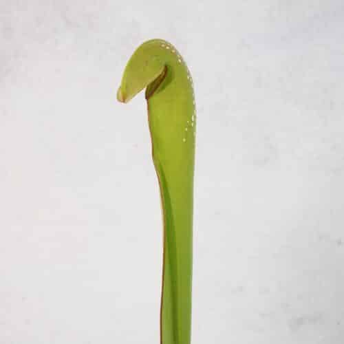 XQ6wDL3q17uTQcFEUyV8.jpg XQ6wDL3q17uTQcFEUyV8.jpg