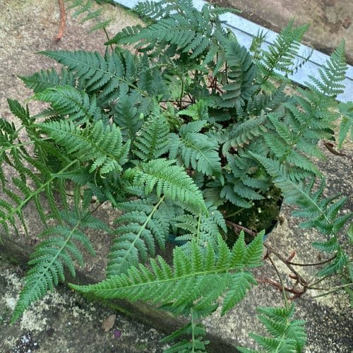 XQkpYh6gvxECLUcNxeoZ.jpg XQkpYh6gvxECLUcNxeoZ.jpg