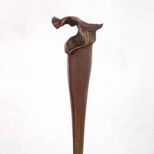 XV4HwGTbwxPl47Xma3wA.jpg XV4HwGTbwxPl47Xma3wA.jpg