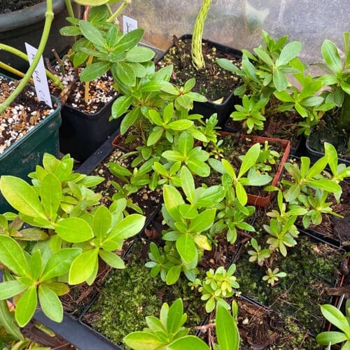 XahWVkO37K3Bmbk5W59e.jpg XahWVkO37K3Bmbk5W59e.jpg