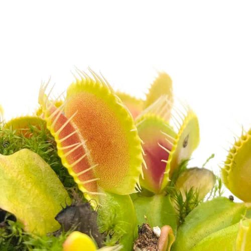 XhSohJkSMaQDAjSe2v8q.jpg XhSohJkSMaQDAjSe2v8q.jpg