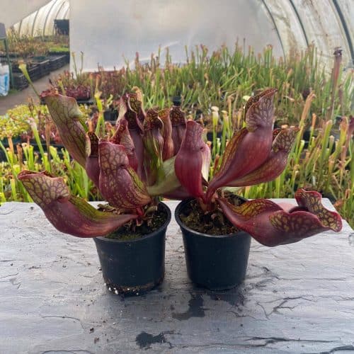 XoVB9gAOGlrRSX8PIkdr.jpg XoVB9gAOGlrRSX8PIkdr.jpg