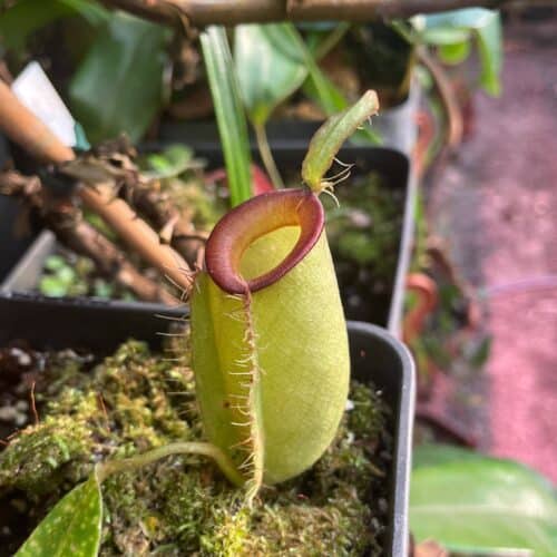 XqOsc1u2ystUZ4d0KVXr.jpg XqOsc1u2ystUZ4d0KVXr.jpg