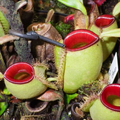 XrDERJTN4oTvCJmpgNMV.jpg XrDERJTN4oTvCJmpgNMV.jpg