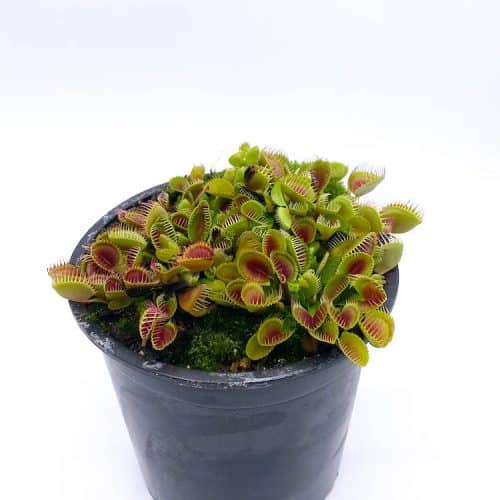 Xzrpkhju7GmpyeuyiIkT-1.jpg Xzrpkhju7GmpyeuyiIkT-1.jpg