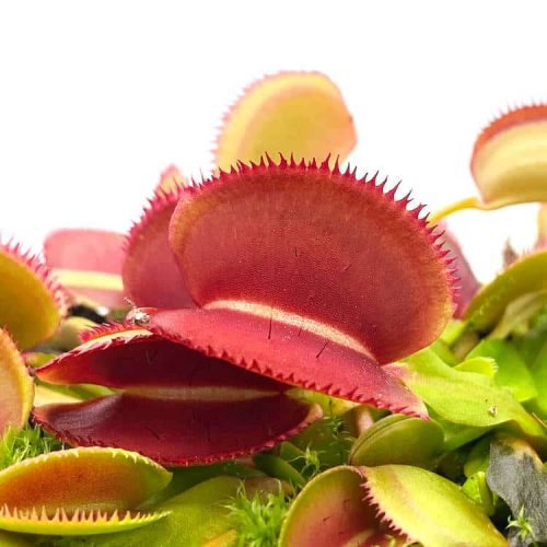 Y36oT67dTVgtAAmNhLXK.jpg Y36oT67dTVgtAAmNhLXK.jpg