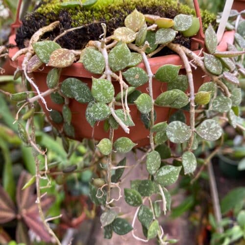 Y8evjaJCtU5B04T6EN1H.jpg Y8evjaJCtU5B04T6EN1H.jpg