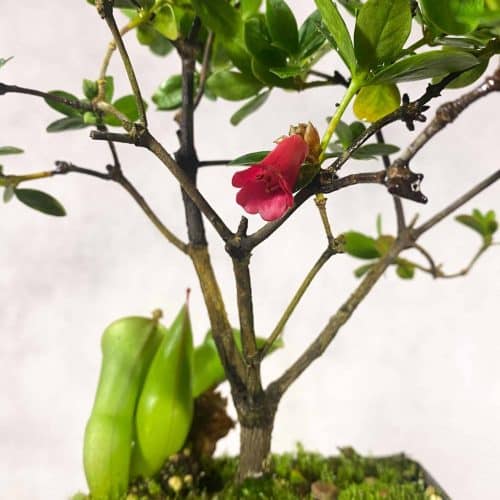 Y8jxtYZJowwyKlEXdCur.jpg Y8jxtYZJowwyKlEXdCur.jpg