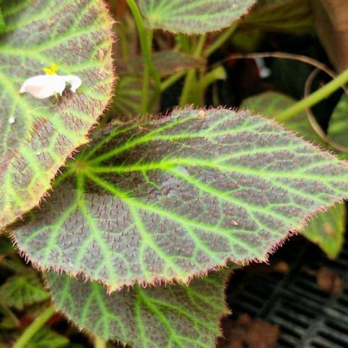 YJQadVHjzP0IUM645jkh.jpg YJQadVHjzP0IUM645jkh.jpg