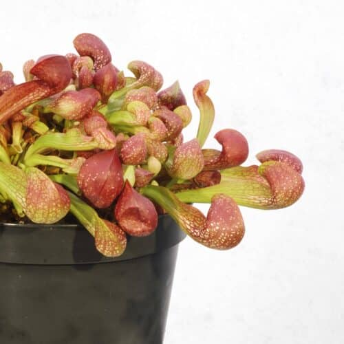 YMp8Uy7VRzWdLzSQnGre.jpg YMp8Uy7VRzWdLzSQnGre.jpg