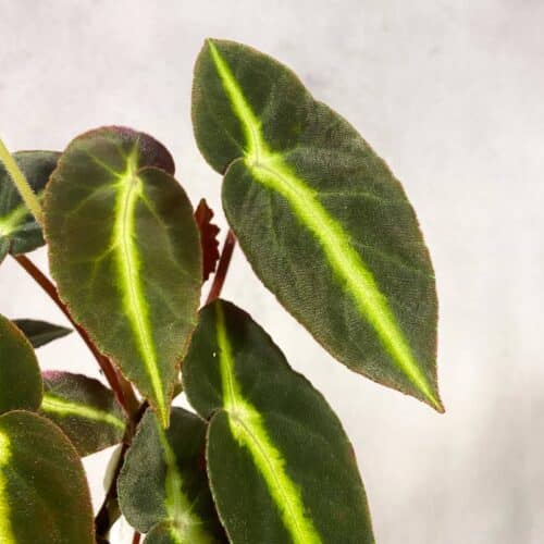 YNyqQQHeX3ZiONJhd9gD.jpg YNyqQQHeX3ZiONJhd9gD.jpg