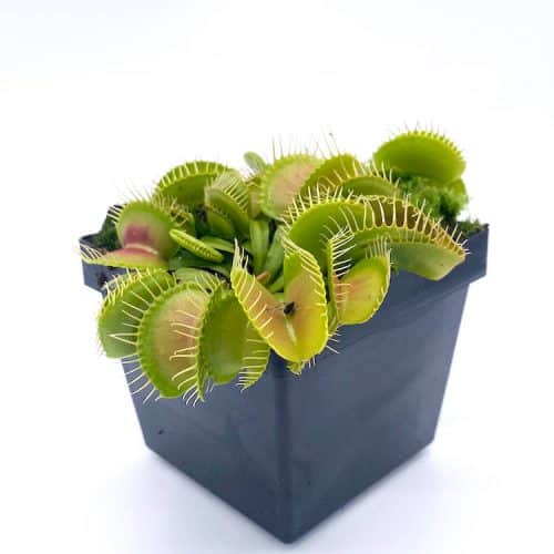 YSoylMOjdsokbo643MvZ-1.jpg YSoylMOjdsokbo643MvZ-1.jpg