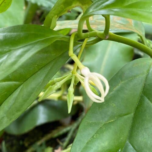 YU04jNwxUEecRFTcKQes.jpg YU04jNwxUEecRFTcKQes.jpg