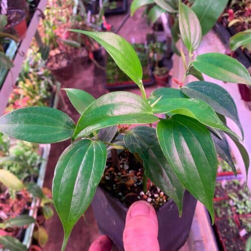 YYfAKbm2JxLDOEO56N99.jpg YYfAKbm2JxLDOEO56N99.jpg