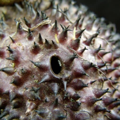 Yo4uORMUGDLCE6aQJqR6.jpg Yo4uORMUGDLCE6aQJqR6.jpg