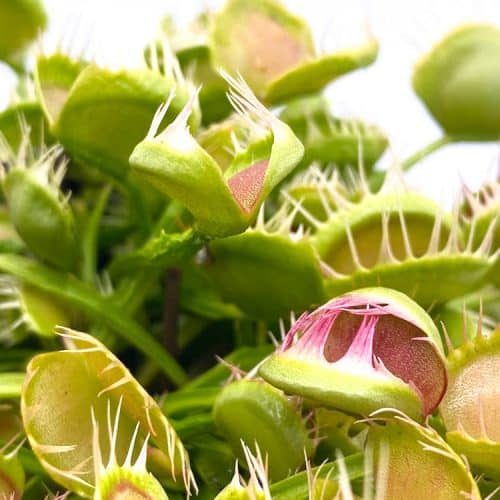 Yvb4tdchNFJFJKK3t1rL.jpg Yvb4tdchNFJFJKK3t1rL.jpg