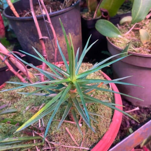 ZEmVgYB318I46aHLJRjn.jpg ZEmVgYB318I46aHLJRjn.jpg