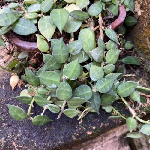 ZPnpEI2rPECCbIJUQODY.jpg ZPnpEI2rPECCbIJUQODY.jpg