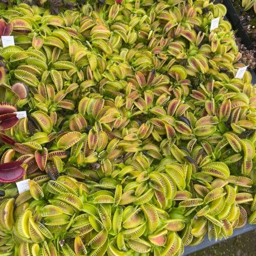 ZXnE4PszjjXqHgy7bLGd.jpg ZXnE4PszjjXqHgy7bLGd.jpg