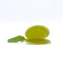 ZhXaBvu20NH7srjD5Aa1-1.jpg