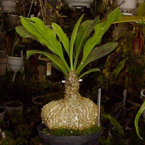 Zmteo48l9MgUATbRkCzJ.jpg Zmteo48l9MgUATbRkCzJ.jpg