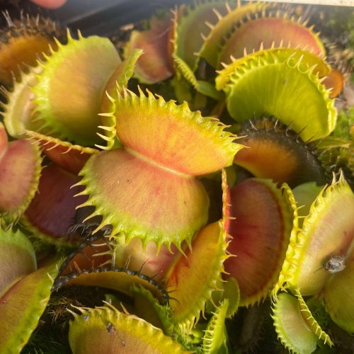 ZoCO6L0I5Y2XVdnIuFmC.jpg ZoCO6L0I5Y2XVdnIuFmC.jpg