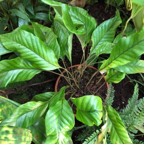 ZqntF5MfbwpjQiyflB4j.jpg ZqntF5MfbwpjQiyflB4j.jpg