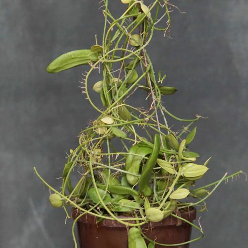 ZvpPfkJDsT8kVGjm4BJU.jpg ZvpPfkJDsT8kVGjm4BJU.jpg