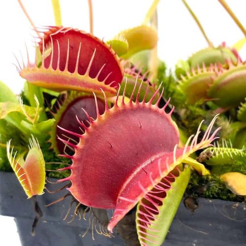 a3zKyZGnepXnLYfzgZsh.jpg a3zKyZGnepXnLYfzgZsh.jpg