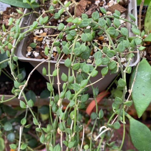 a8xELGM1QkMZecXIcJV0.jpg a8xELGM1QkMZecXIcJV0.jpg