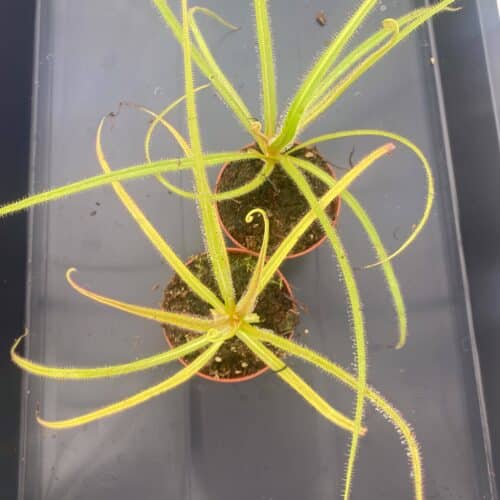 aHAElmG1K7GS38hAhtTG.jpg aHAElmG1K7GS38hAhtTG.jpg