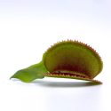 aHUjOJOh8HPQiYjbTxEC-1.jpg