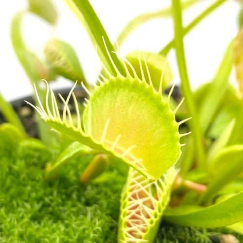 aJ4N05ifE8veE464djjZ-1.jpg aJ4N05ifE8veE464djjZ-1.jpg