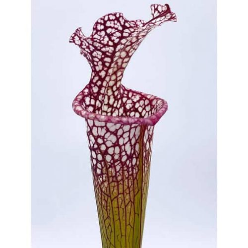 aKTDCBaqAPFvfJWtQgbA.jpg aKTDCBaqAPFvfJWtQgbA.jpg