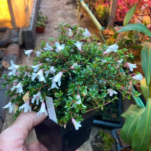 aKgAkWIrC2bak28y2AhA.jpg aKgAkWIrC2bak28y2AhA.jpg