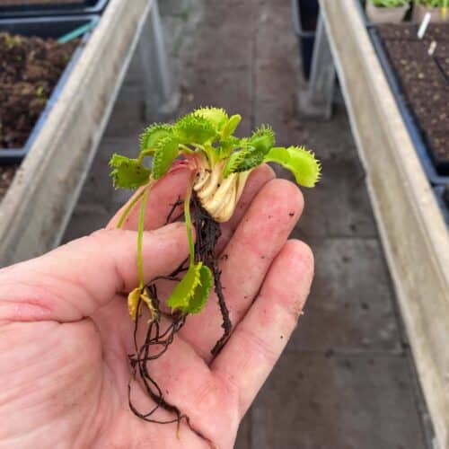 aMuuDDEXE9yUUZ4fEUkb.jpg aMuuDDEXE9yUUZ4fEUkb.jpg