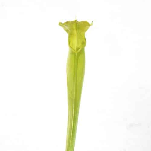 aPurEs77DhXWWbyKZCdI.jpg aPurEs77DhXWWbyKZCdI.jpg